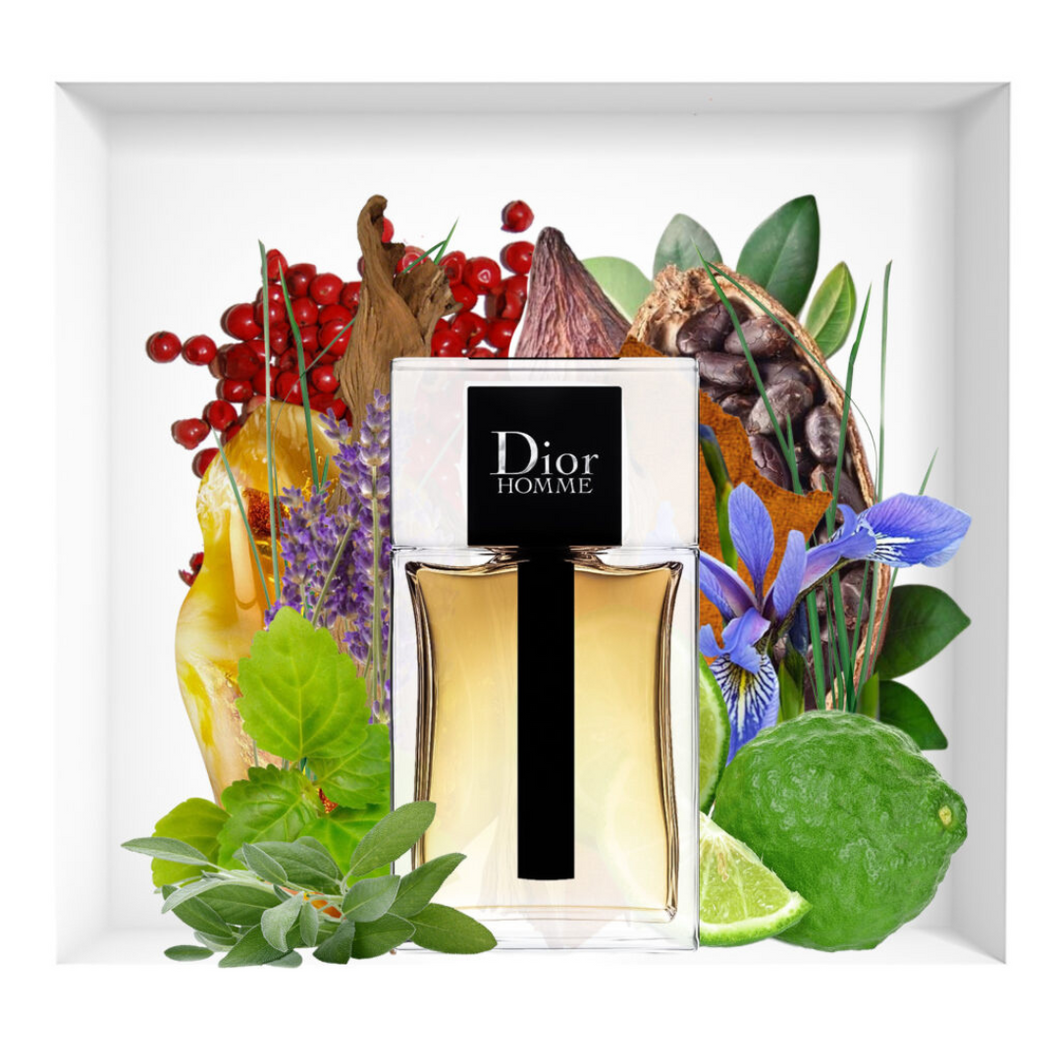 Dior Homme 2020