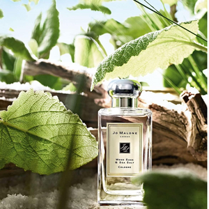 Wood Sage and Sea Salt