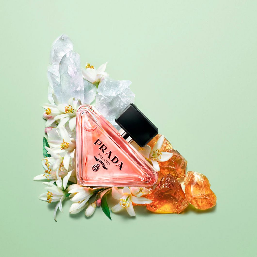 PRADA PARADOXE