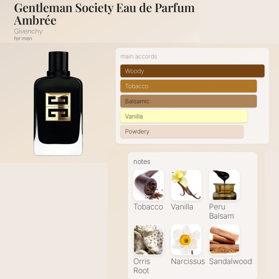 Gentleman Society Ambree