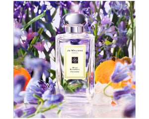 Wild Bluebell