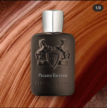 Load image into Gallery viewer, Pegasus Exclusif
